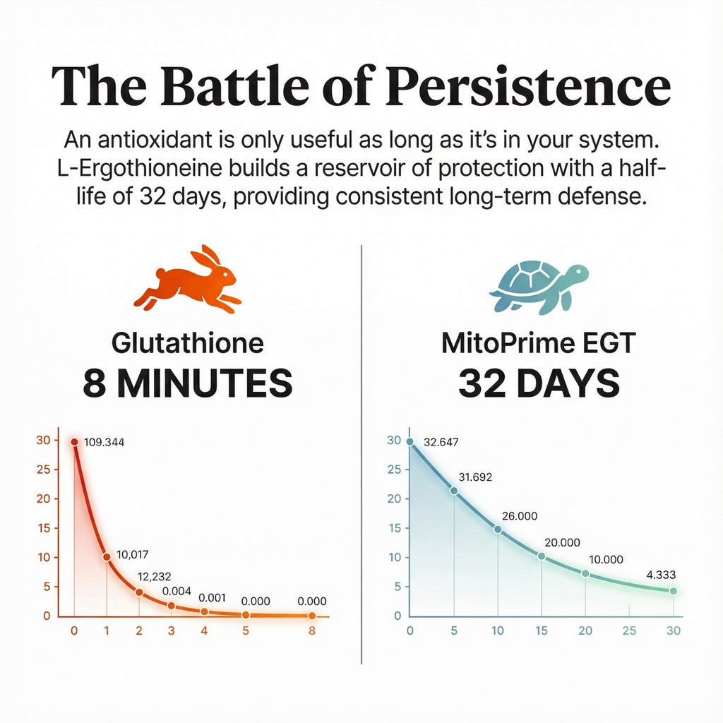 MitoV+ Longevity Gummies