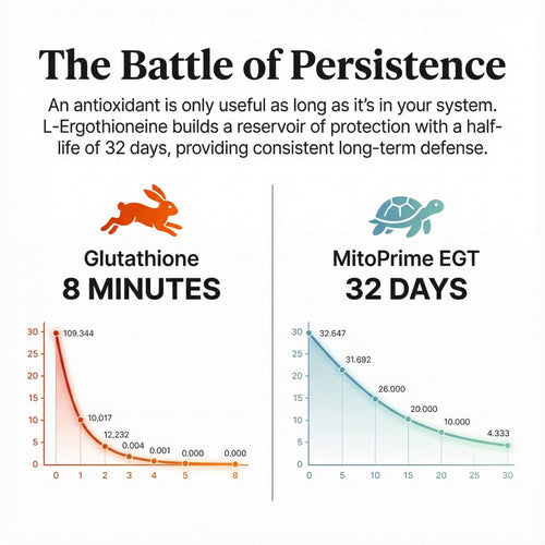 MitoV+ Longevity Gummies