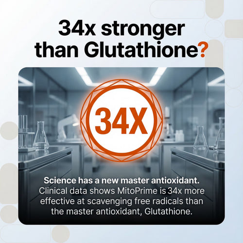 MitoV+ Longevity Gummies