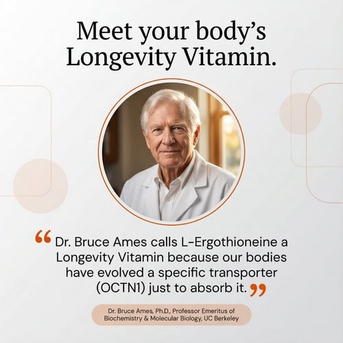 MitoV+ Longevity Gummies