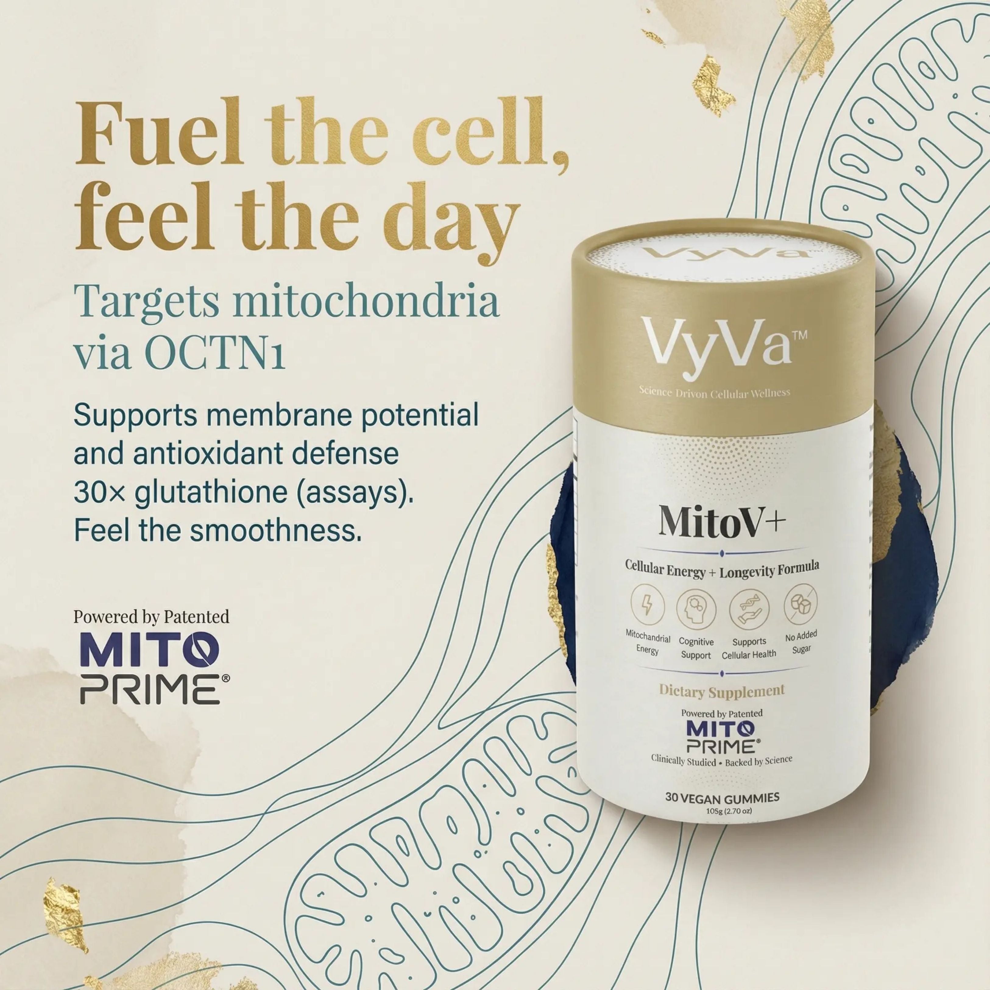 MitoV+ Longevity Gummies