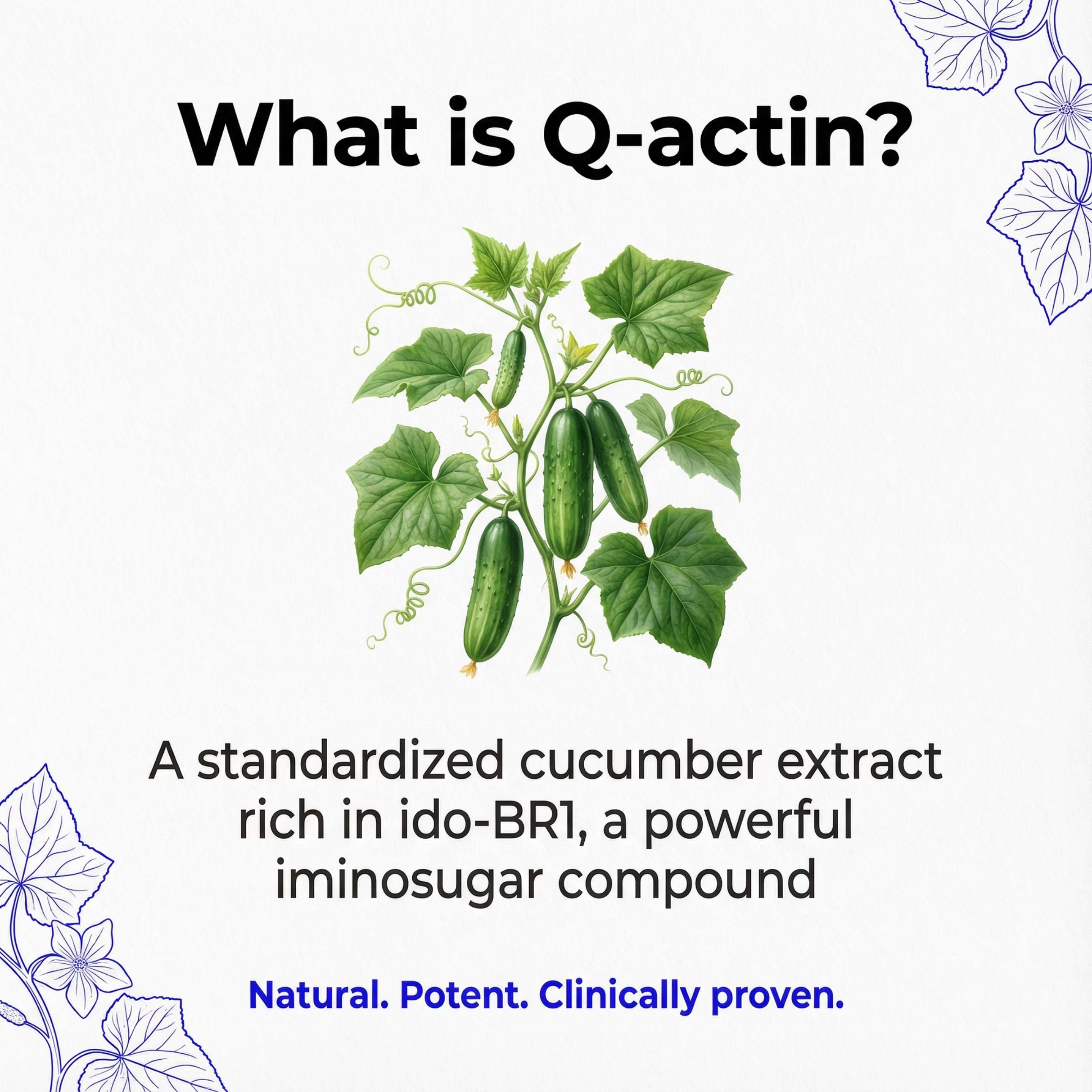 Vflex Joint Support Gummies