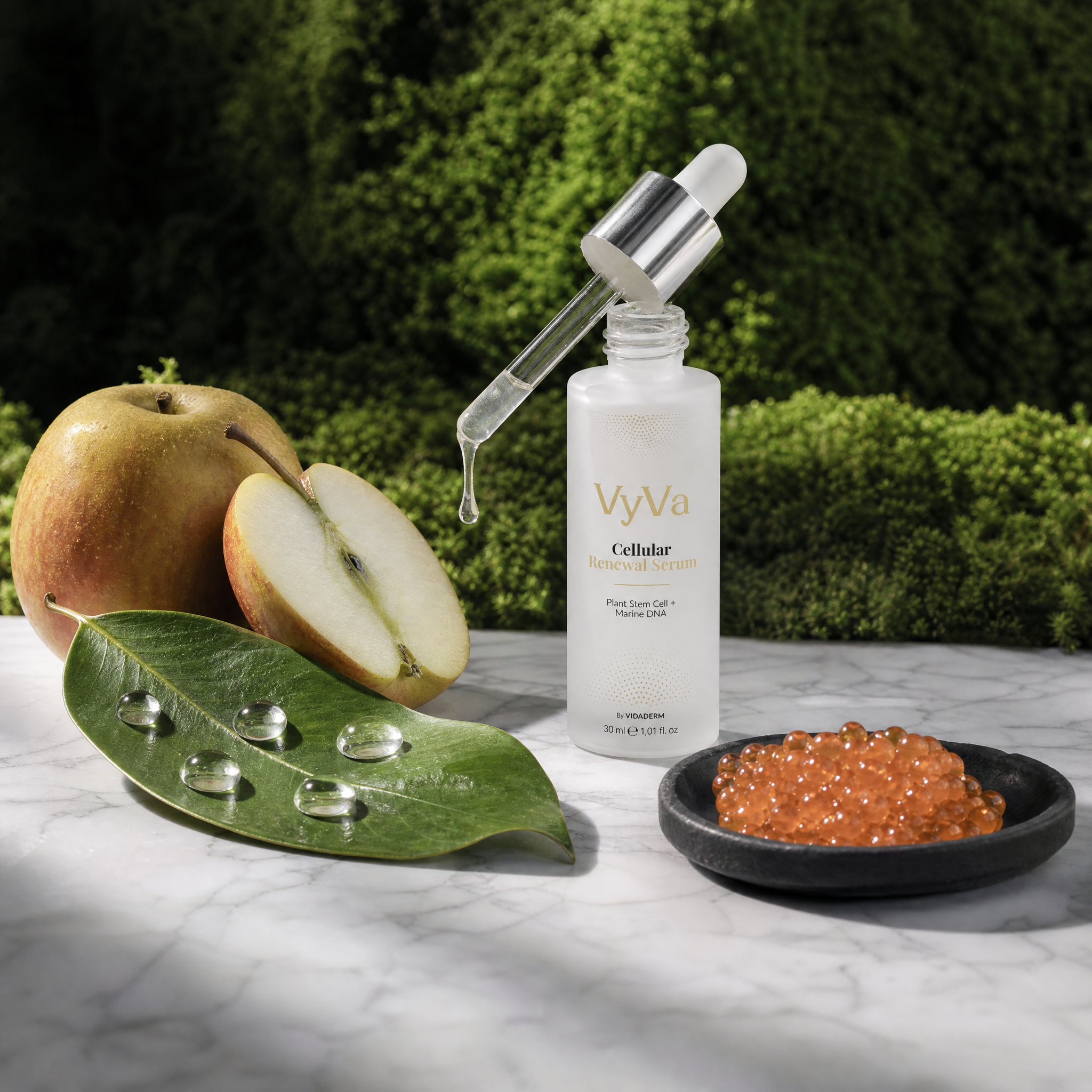 Cellular Renewal Serum — VyVa