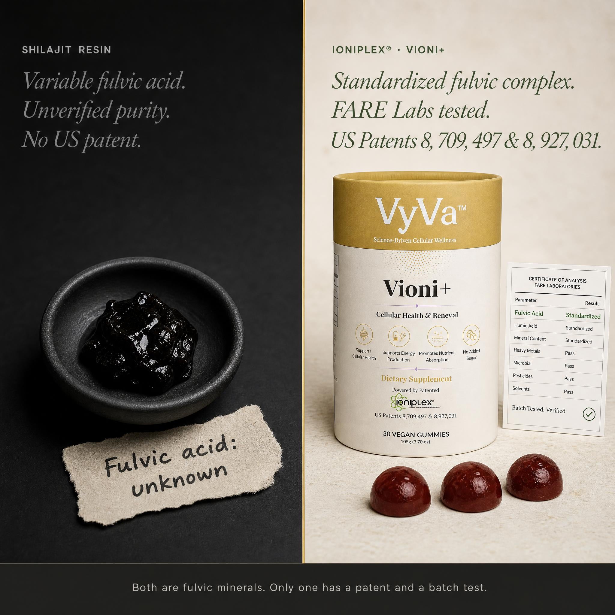 Vioni+ Ionic Vitality Gummies — VyVa