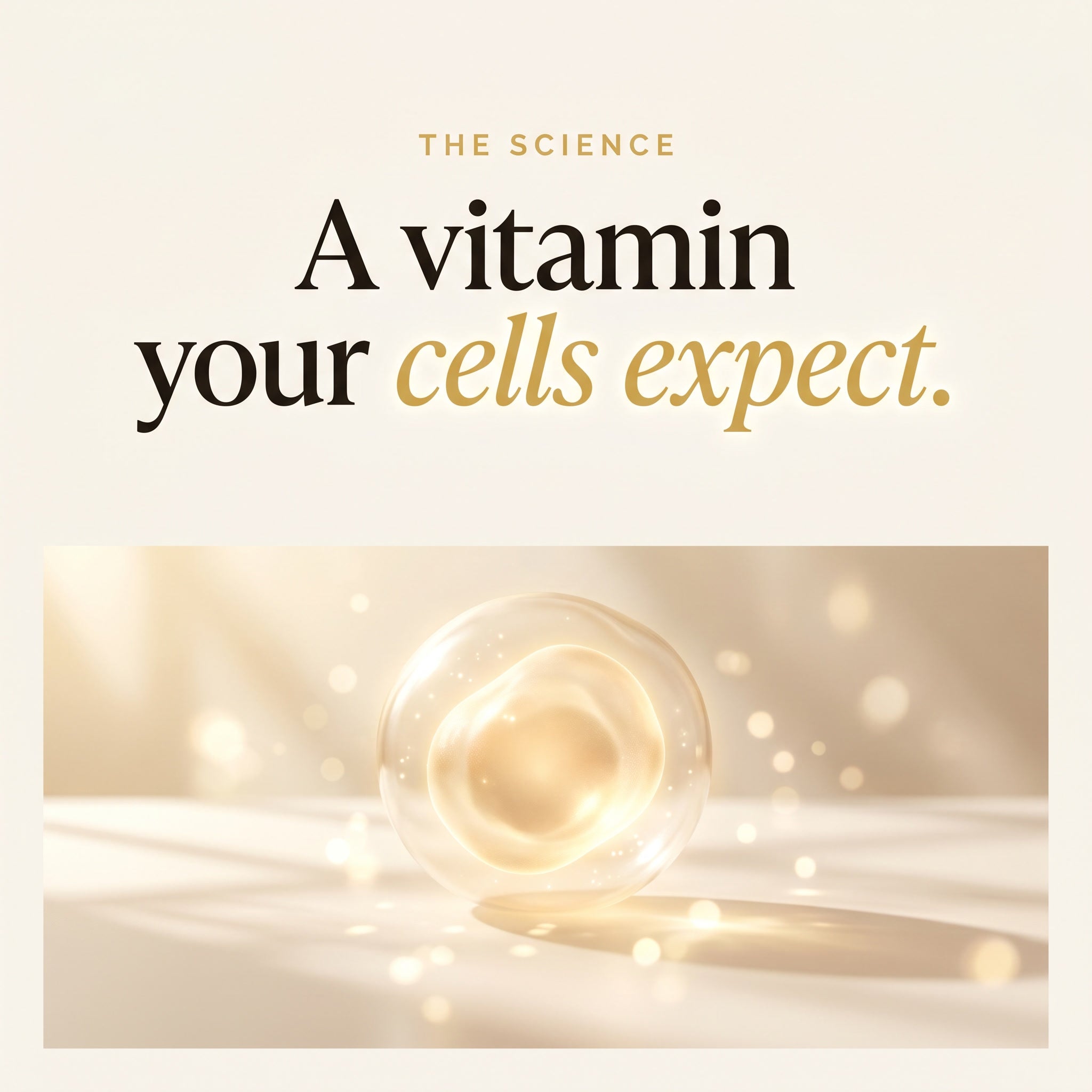 Longevity Gummies – Sugar-Free Vegan Cellular Energy — VyVa