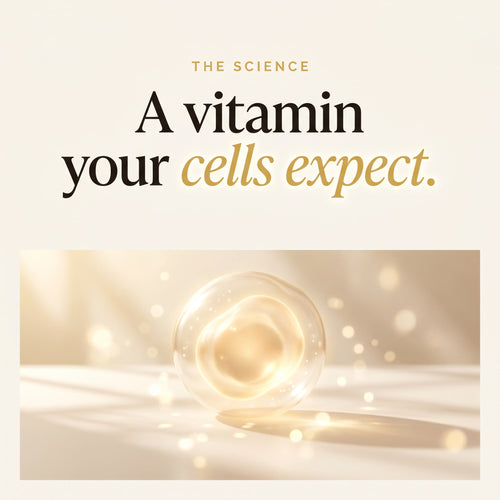 Longevity Gummies – Sugar-Free Vegan Cellular Energy — VyVa