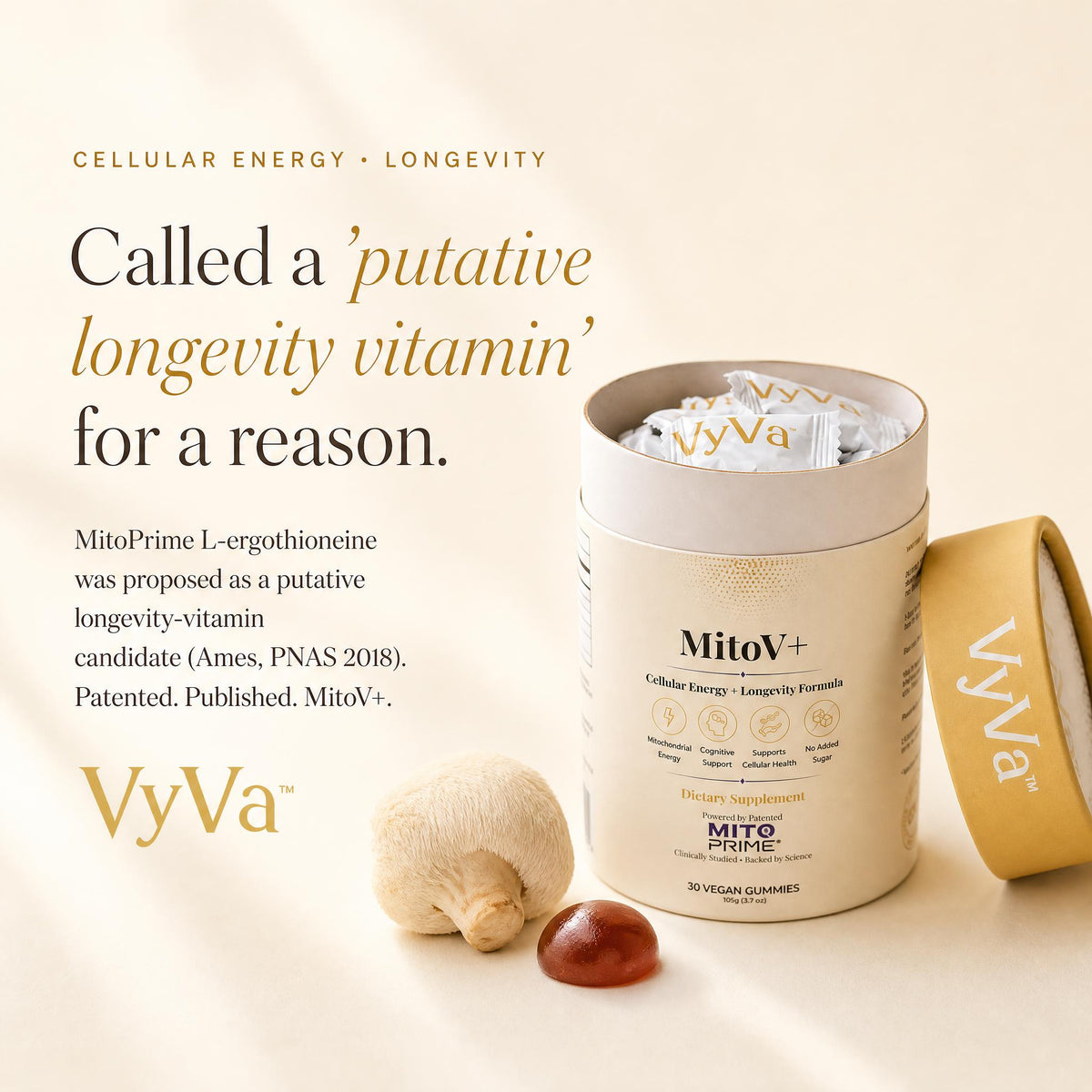 MitoV+ Cellular Defence Gummies — VyVa
