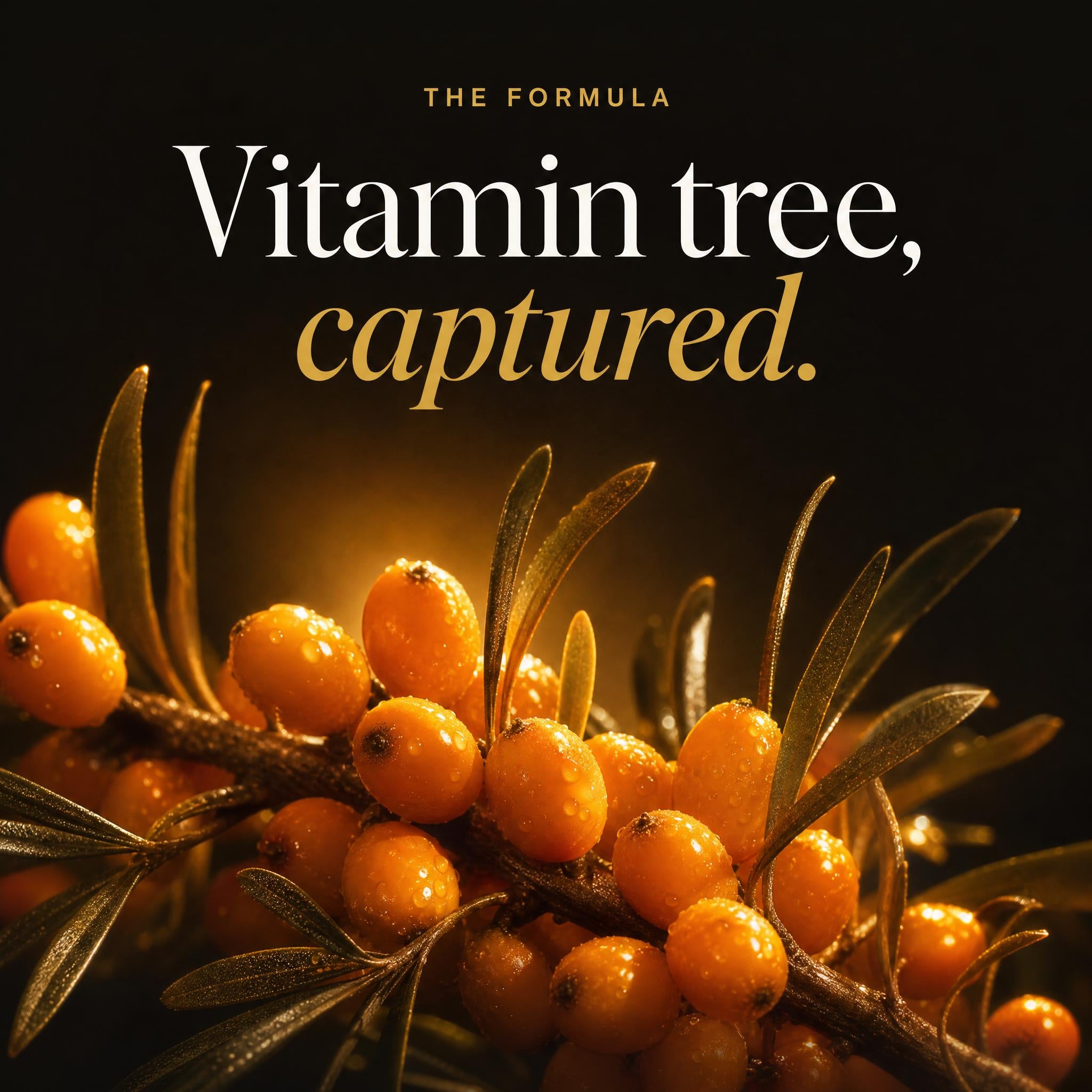 Cellular Radiance Serum — VyVa
