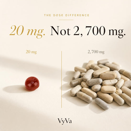 VFlex Joint Support Gummies — VyVa