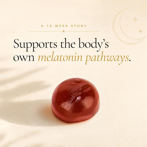 VFlex Joint Support Gummies — VyVa